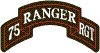 75th Rangers Rgt Coat Of Arms