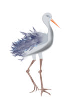 Bird with legs