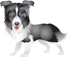 Dog vector collections 6