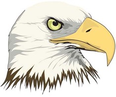 Eagle vector 10