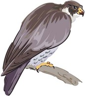 Eagle vector 4