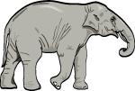Elephant Vector Image