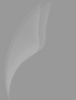Grey Vector Background