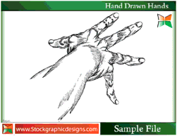 Hand Drawn Hands