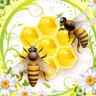 Honey And Bees