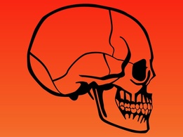 Human Skull
