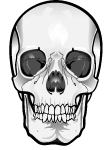 Skull Vector Clipart 2