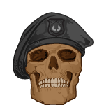 Soldier Skull Vector