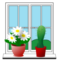 Window with plants